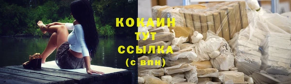 крисы Каменногорск