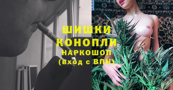 эйфоретик Инта