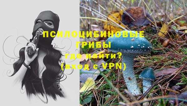 гидропоника Каменск-Шахтинский