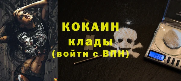 эйфоретик Инта