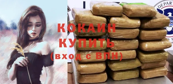 ГАЛЛЮЦИНОГЕННЫЕ ГРИБЫ Каменка