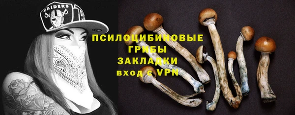 крисы Каменногорск