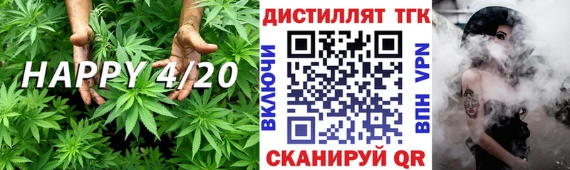 Купить закладки  Гвардейск  Дистиллят ТГК гашишное масло 