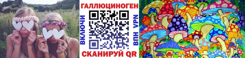 Псилоцибиновые грибы мицелий Купить закладки Гвардейск